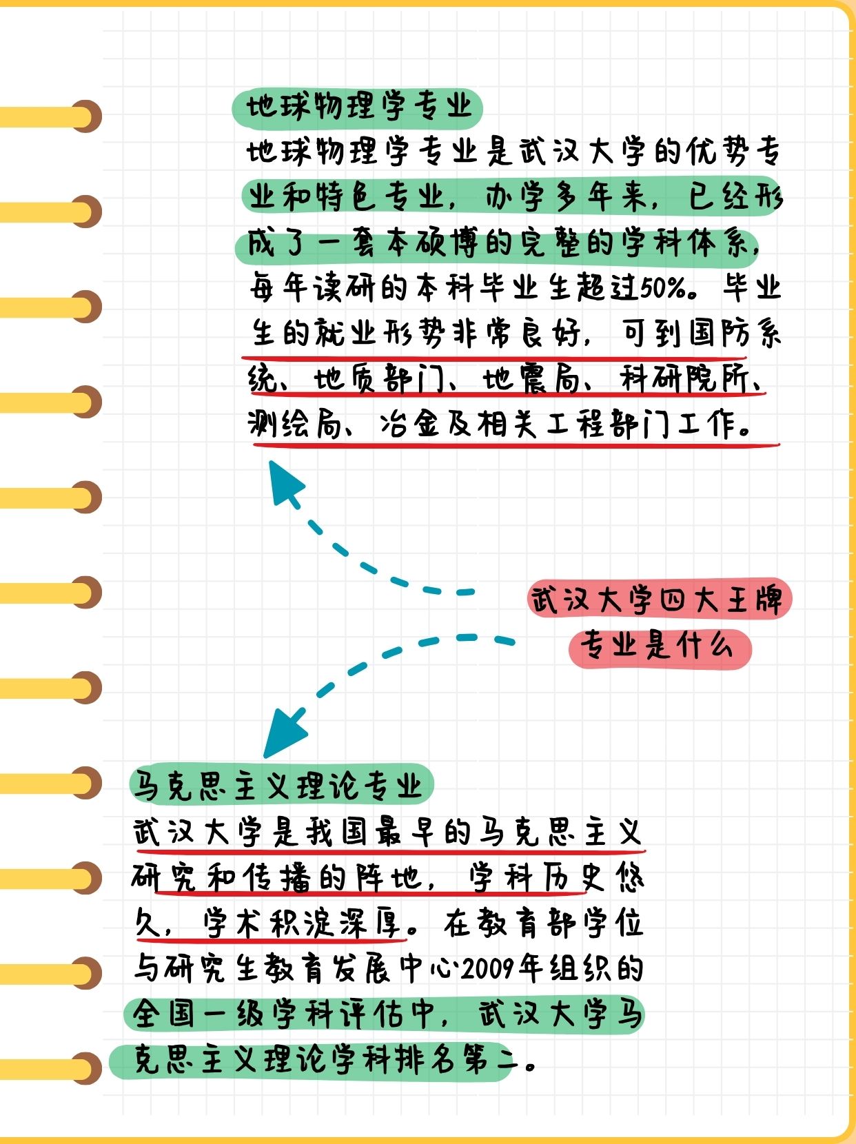 体育领域的尖子生：实力不容小觑的比拼